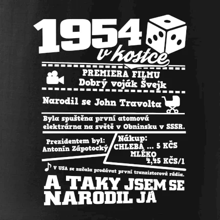 1954 v kostce