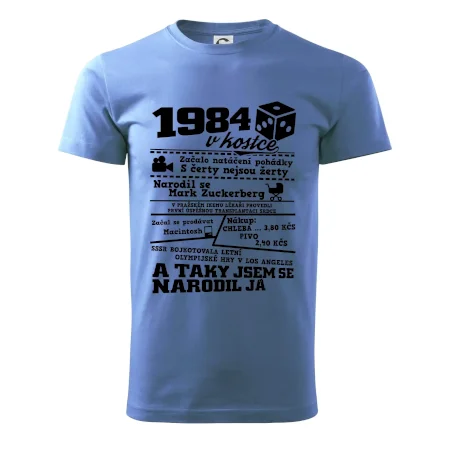 1984 v kostce