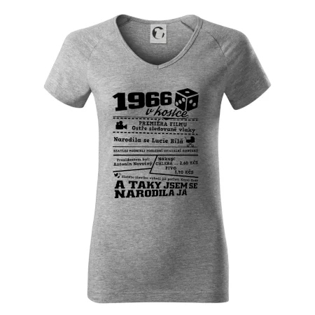 1966 v kostce