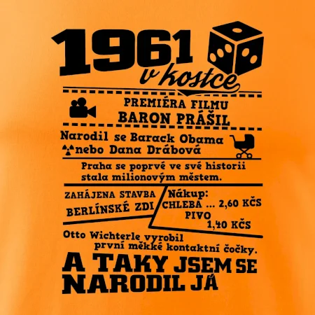 1961 v kostce
