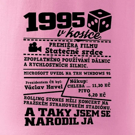 1995 v kostce