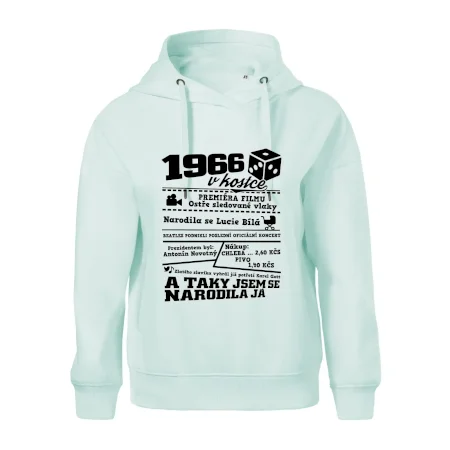 1966 v kostce