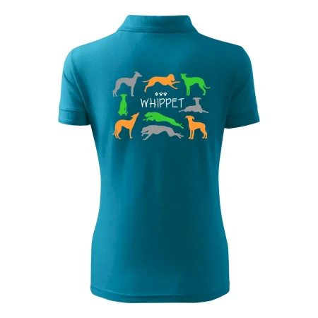 Whippet barevný