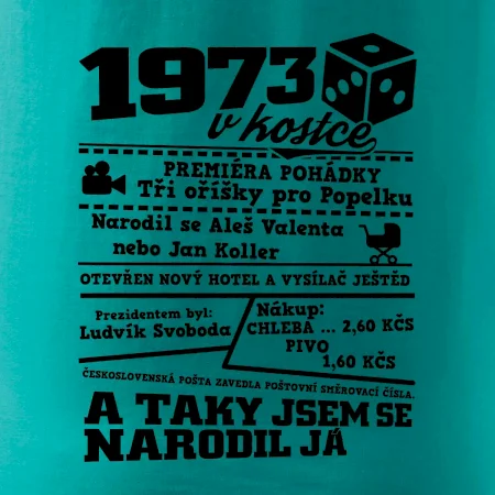 1973 v kostce