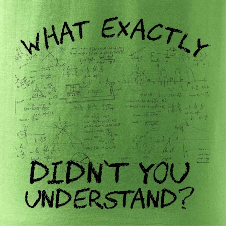 What exactly didnt you understand - physics
