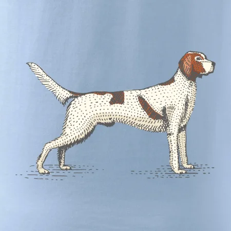 Vintage Setter