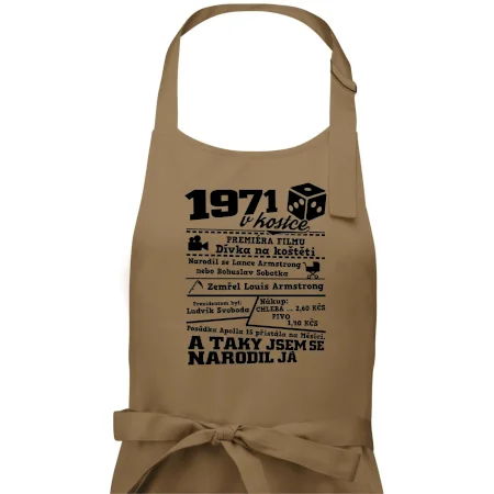 1971 v kostce