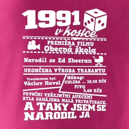 1991 v kostce