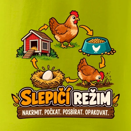 Slepičí režim od krmení po sběr vajec