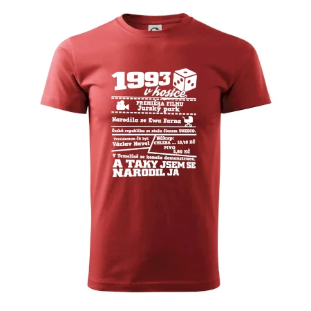 1993 v kostce