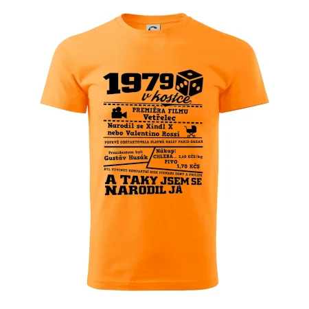 1979 v kostce