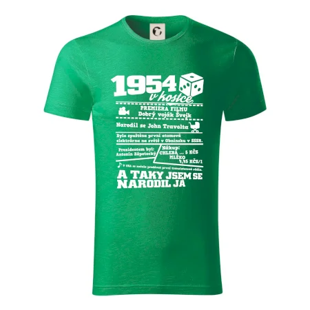 1954 v kostce