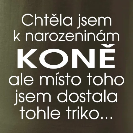 Chtěla jsem dostat k narozeninám koně