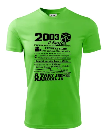 2003 v kostce