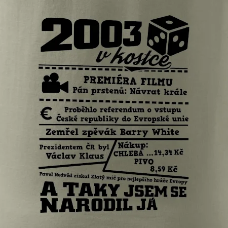 2003 v kostce