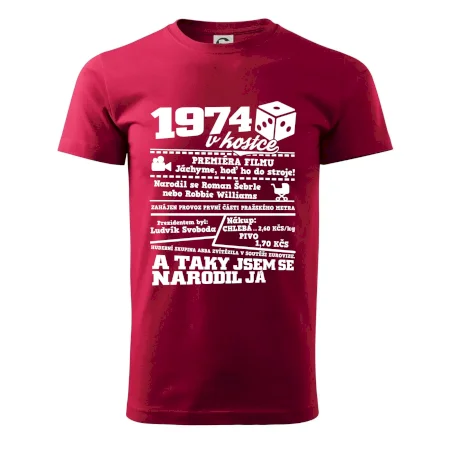 1974 v kostce
