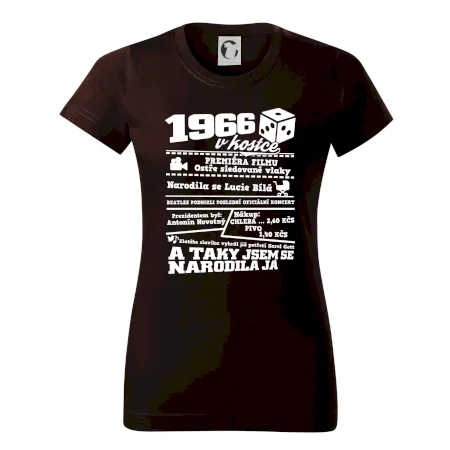 1966 v kostce
