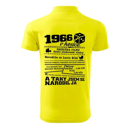 1966 v kostce