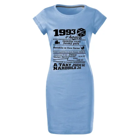 1993 v kostce
