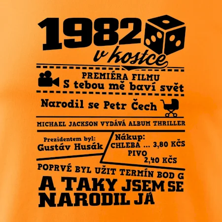 1982 v kostce