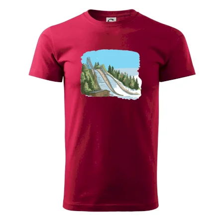 Obrázek skokanských můstků