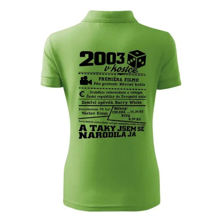 2003 v kostce