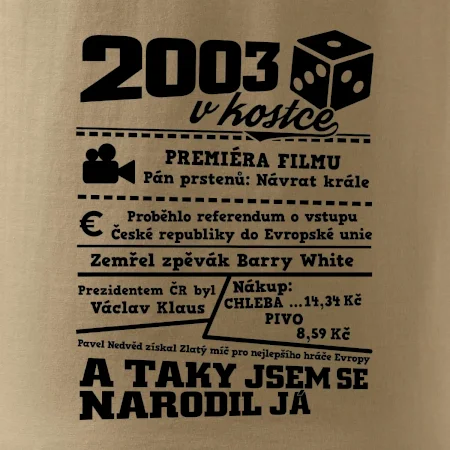2003 v kostce