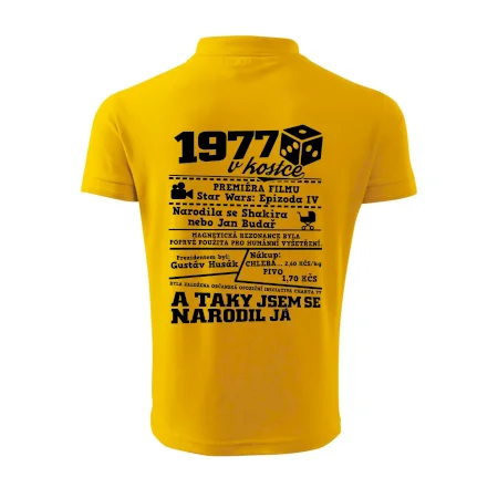 1977 v kostce