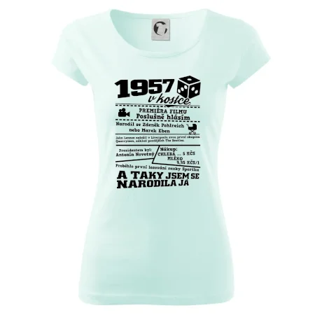 1957 v kostce