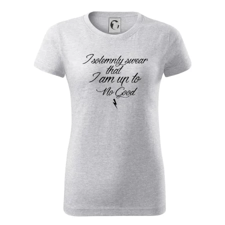 I solemnly swear that I'm up to no good