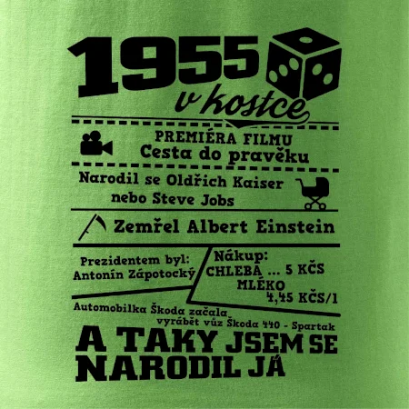 1955 v kostce