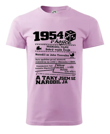 1954 v kostce