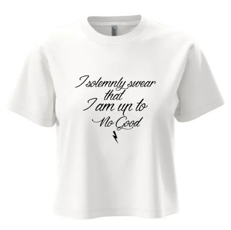 I solemnly swear that I'm up to no good