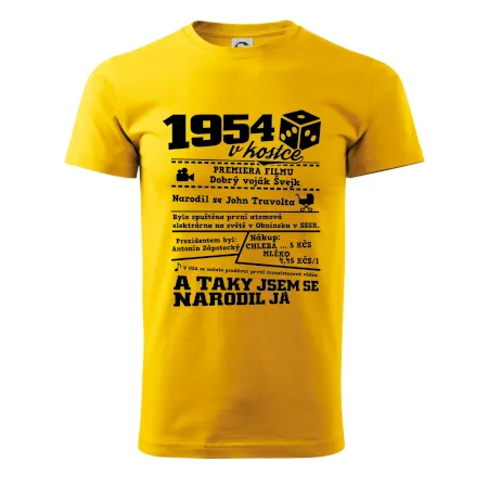 1954 v kostce
