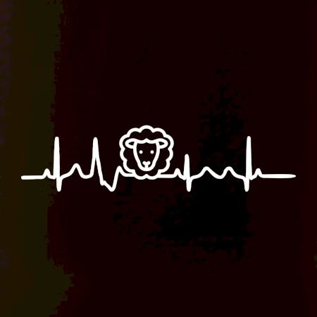Ekg ovce