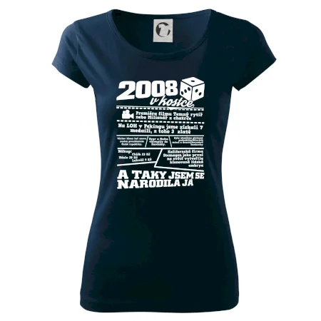2008 v kostce