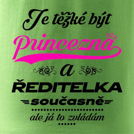 Je těžké být princezna - ředitelka