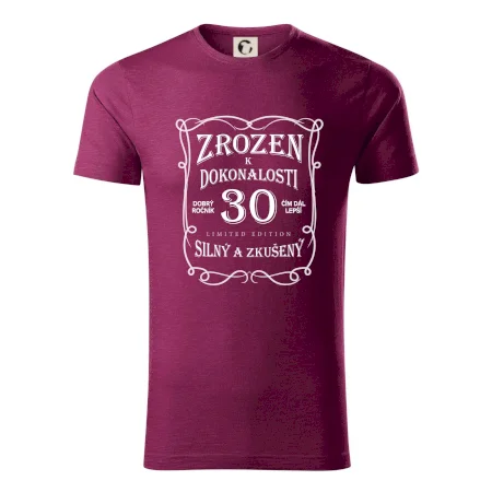 Zrozen k dokonalosti 30