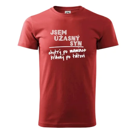 Jsem úžasný syn