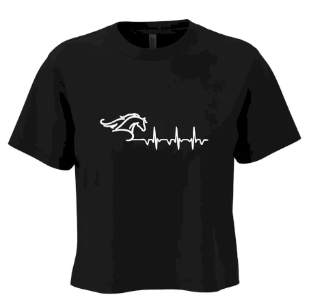 Hlava koně EKG