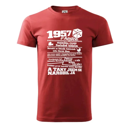 1957 v kostce