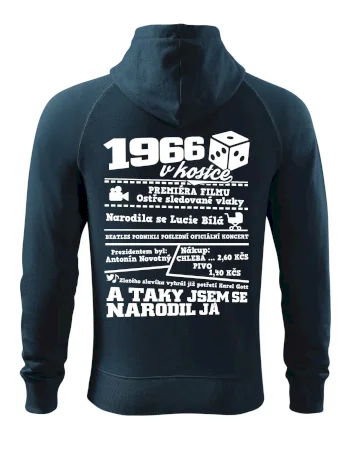 1966 v kostce