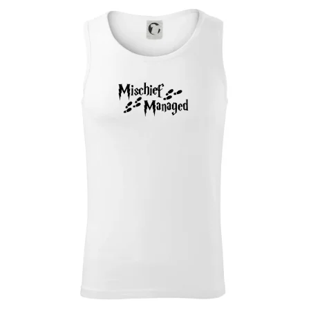 Harry - Mischief Managed