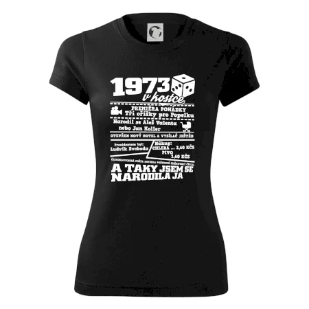 1973 v kostce
