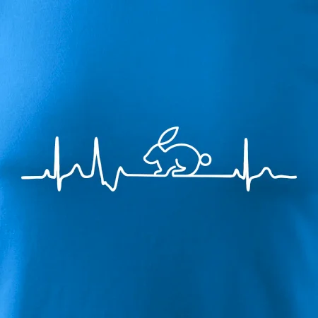 EKG králík