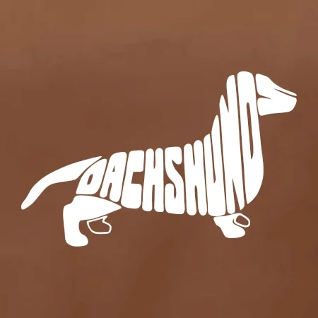 Jezevčík - Dachshund