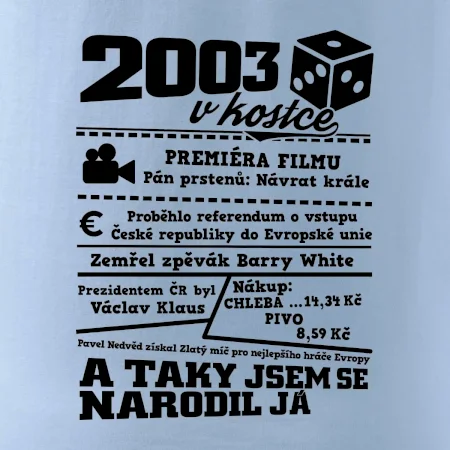 2003 v kostce