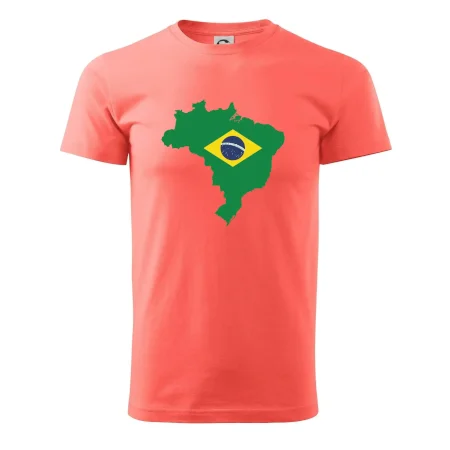 Brazílie vlajka v mapě