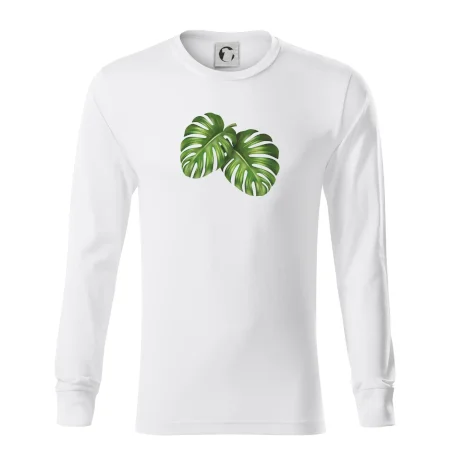 Monstera - dva listy