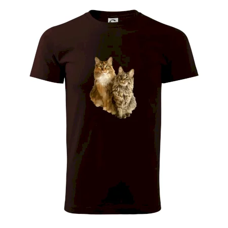 Kočky vectorizované  (Moňas)